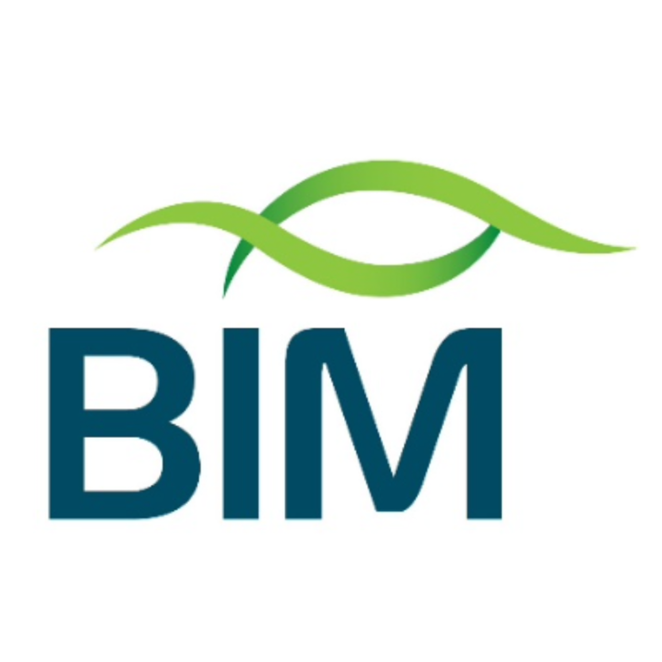 BIM Current Vacancies